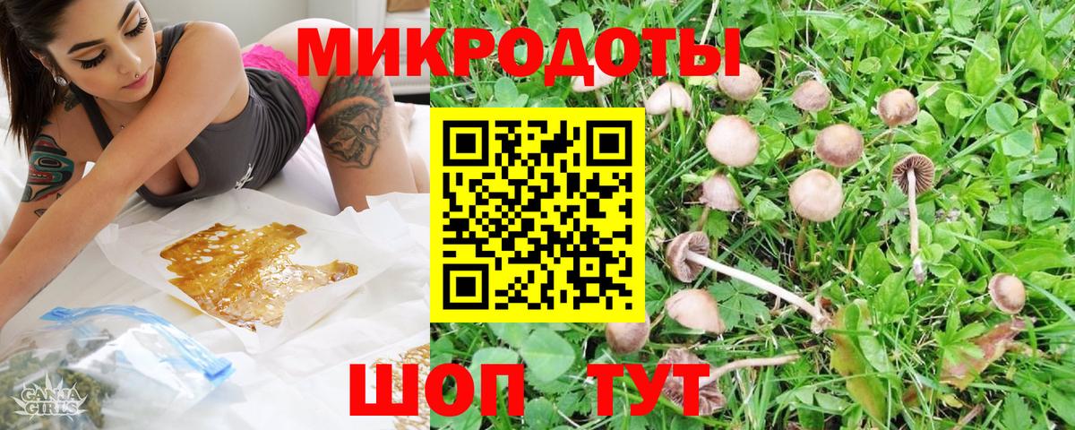 Галлюциногенные грибы Psilocybe Тольятти