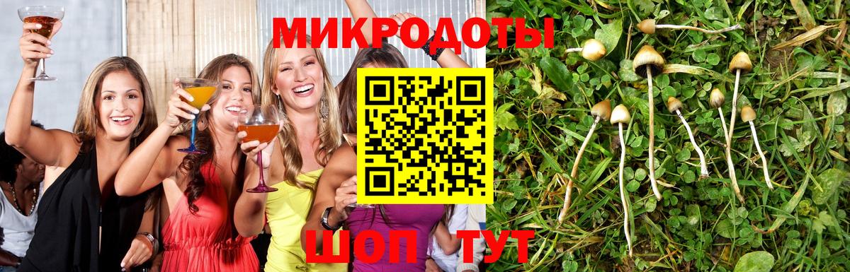 Галлюциногенные грибы Cubensis  наркотики  Тольятти  Вход с VPN  Галлюциногенные грибы Psilocybe 